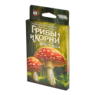 Грибы и корни: Шёпот леса